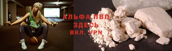 прущие крисы Бородино