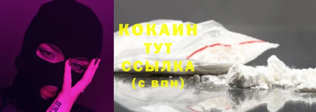 прущие крисы Бородино