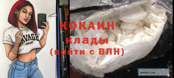 прущие крисы Бородино