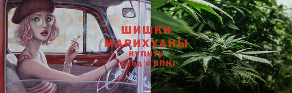 прущие крисы Бородино