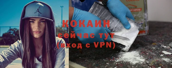прущие крисы Бородино