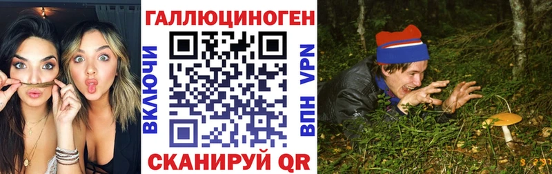 Галлюциногенные грибы GOLDEN TEACHER  Мосальск 