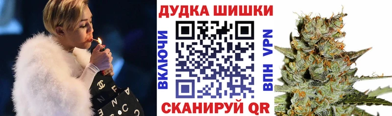 Конопля сатива Мосальск